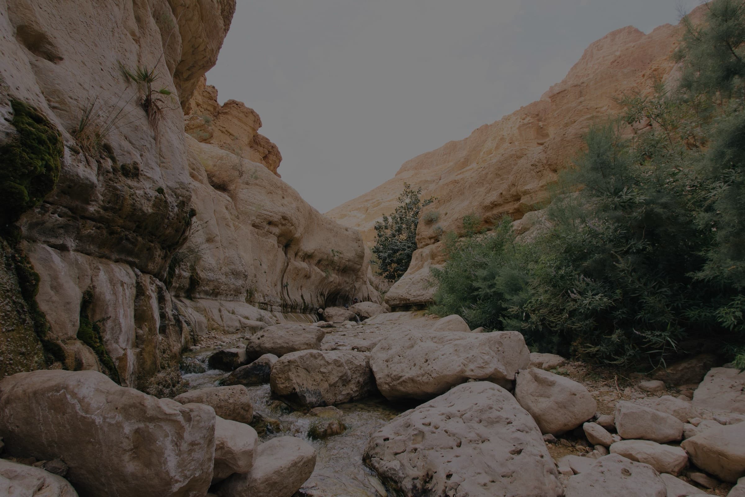 The wilderness landscape of Israel